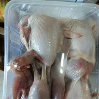 گوشت بلدرچین