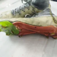 کفش فوتبال سایز ۴۲ ۴۳