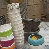 گلدان|گل و گیاه طبیعی|تهران, سلسبیل شمالی|دیوار