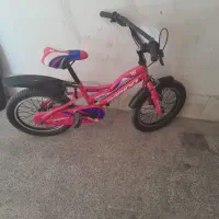 دوچرخه ۱۶ سالم وخوشرنگ|دوچرخه، اسکیت، اسکوتر|محمدیه-قزوین, |دیوار