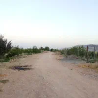 فروش 2400متر زمین باغ فروشی سنددار|فروش زمین و ملک کلنگی|مرودشت, رامجرد یک|دیوار