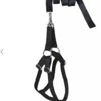 قلاده گربه و سگ