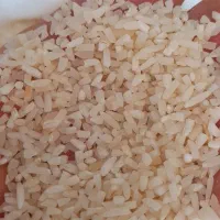 برنج هاشمی و لاشه و نیم دانه هاشمی|خوردنی و آشامیدنی|رشت, استقامت ۲|دیوار