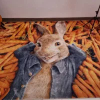 قالیچه سه بعدی