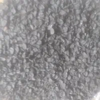 فروش استثنایی بذر پیاز سایروس .مینروا وغیره