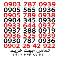 ۳۳شماره رند یک میلیونی