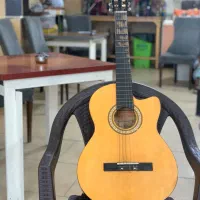 فروش گیتار