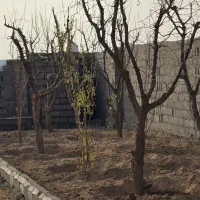 باغچه ۳۰۰ متری رویایی در چسب بافت مسکونی