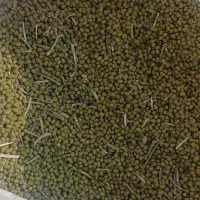 فروش ماش|خوردنی و آشامیدنی|گتوند, |دیوار