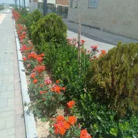 ویلایی دوبلکس  دربست کمال هشت ممیز نه