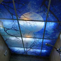 سقف کاذب .آسمان مجازی و نقاشی ساختمان|خدمات پیشه و مهارت|اسلامشهر, شهرک سالور|دیوار