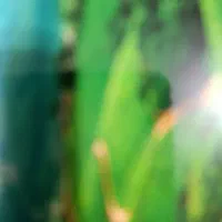 زمین کشاورزی