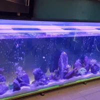 آکواریوم ۲۲۰|ماهیگیری|خرم‌آباد, |دیوار