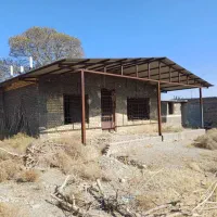 باغ دور دیوار|فروش زمین و ملک کلنگی|تربتحیدریه, حیدرآباد|دیوار