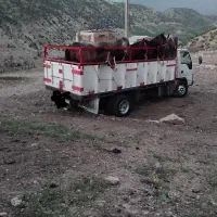 خرید فروش اسب پالانی با بالاترین قیمت