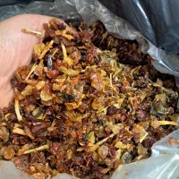 کشمش گله کاشمر و مویز