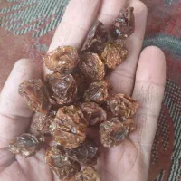 آلوچه|خوردنی و آشامیدنی|مرند, |دیوار