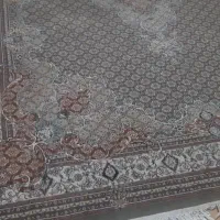 فرش|فرش|رشت, نیروی دریایی|دیوار