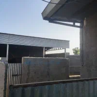 خانه باغ دامداری|فروش خانه و ویلا|کاشان, دانشگاه شهید رجایی|دیوار