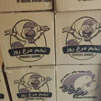 پخش تخم مرغ فرزانه|خوردنی و آشامیدنی|تهران, فرزانه|دیوار