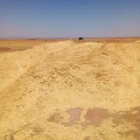 کاه گندم خوشه