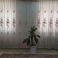 پرده