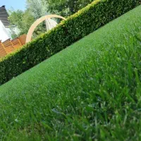 خدمات انواع گل و گیاه|خدمات باغبانی و درختکاری|تهران, اقدسیه|دیوار