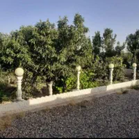 خانه باغ|فروش خانه و ویلا|اصفهان, باغ فدک|دیوار