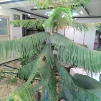 کاج مطبخ