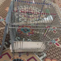 قفس سهره|لوازم جانبی حیوانات|تهران, قیام|دیوار