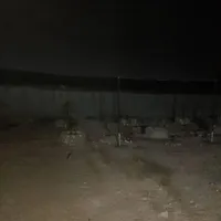 ویلا باغ واقع در رمکان سند تک برگ|فروش خانه و ویلا|قشم, |دیوار