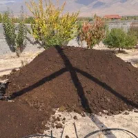 کود گاوی سوخته و خاک باغچه مرغوب درجه 1|خدمات باغبانی و درختکاری|مشهد, عسگریه|دیوار