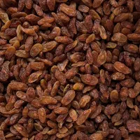 ممیز درجه ۱|خوردنی و آشامیدنی|سبزوار, قلعه‌نو دهزار|دیوار