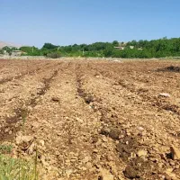 زمین تجاری مسکونی