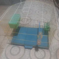 قفس پرنده