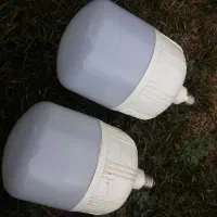 دوعدد لامپ کلکسیونی و قدیمی