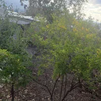 فروش خانه|فروش خانه و ویلا|جلفا, |دیوار