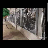 فروش مرغداری نکا|فروش دفتر صنعتی، کشاورزی، تجاری|نکا, |دیوار