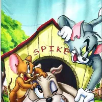 ست پرده وفرش کودک|فرش|بندر کنگان, |دیوار