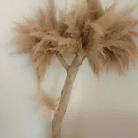 گلدان