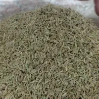 زیره‌سبز‌|خوردنی و آشامیدنی|گرمخان, |دیوار