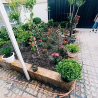 باغبانی خاک گلدان باغچه کاری  کاشت گل و گیاه