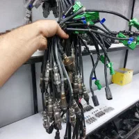 استوک اروپایی دیلمان