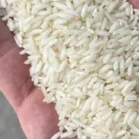 برنج عنبربو / عنبر بو کامفیروزی با عطر و طعم عالی|خوردنی و آشامیدنی|شیراز, داریون|دیوار