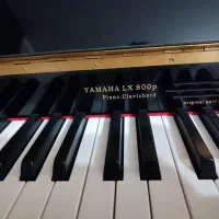 پیانو Lx800p کلاویه کورد|پیانو، کیبورد، آکاردئون|شیراز, شاه قلی بیگی|دیوار