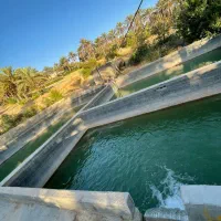 باغ-5هکتاری-مرکبات-با-تمام-امکانات