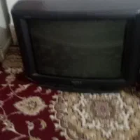 تلویزیون