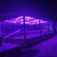 رگلاژ نصاب و باز کردن انواع شیشه ها سکوریت بشکن