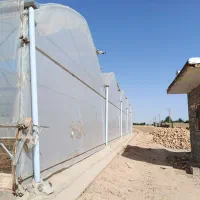 فروش گلخانه|فروش زمین و ملک کلنگی|قرچک, داوود آباد|دیوار