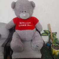 خرس ولنتاین بزرگ